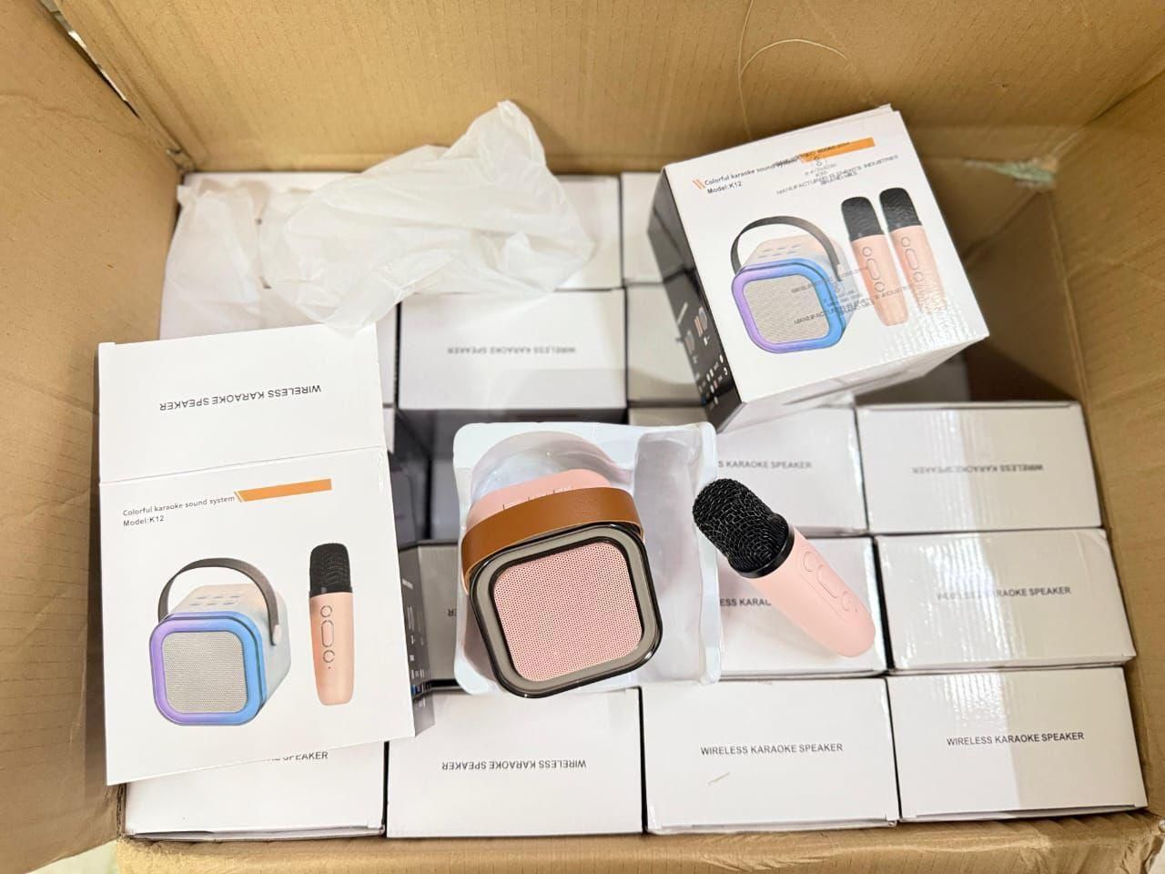 EchoVibe Bluetooth Karaoke Speaker with Wireless Mic | Portable Party Sound System for Singing, Events & Fun (Rechargeable)